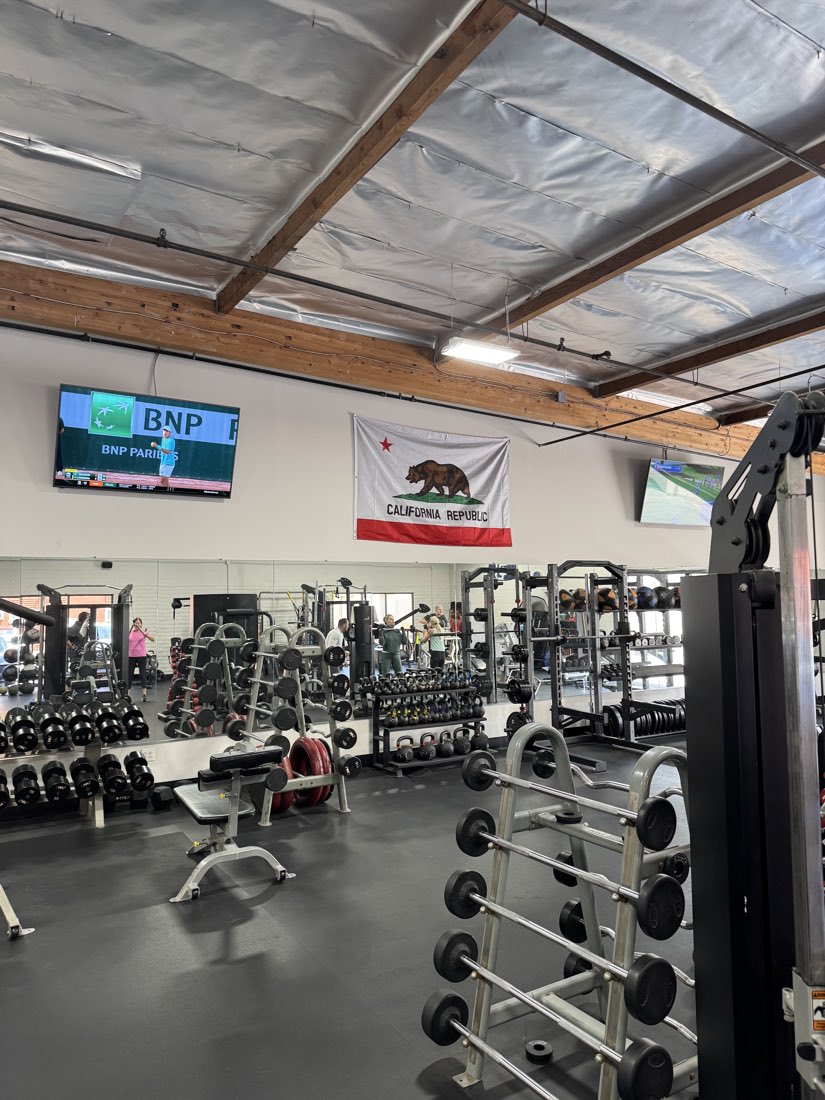 Dumbbell racks and benches in the bright studio